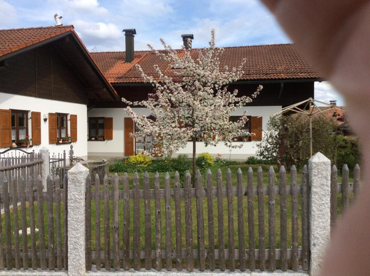 Ferienwohnung Hoermann Langdorf (Regen) Exterior foto